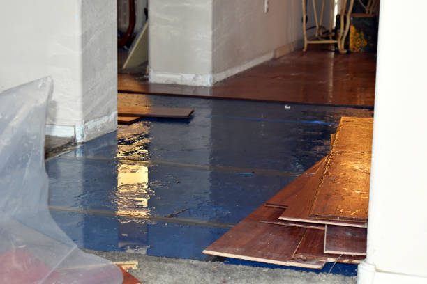 Professional Emergency Water Damage Restoration technician working in Lyndora, PA